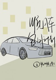 ˳�糵���¼ƻ�