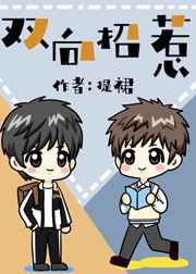 ˫������